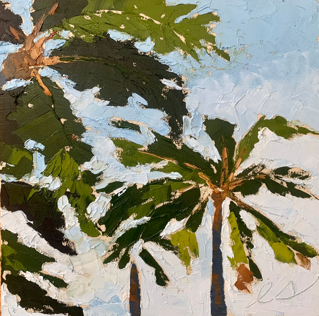 More Palms