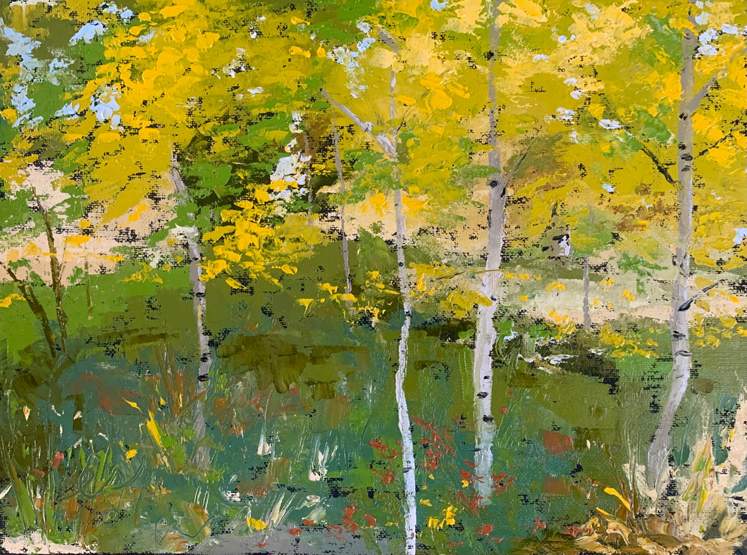 Aspen Grove